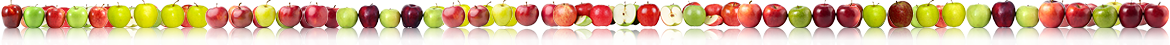Apple Trans - Skup owoców - transport owoców - Transport jabłek - Transport międzynarodowy